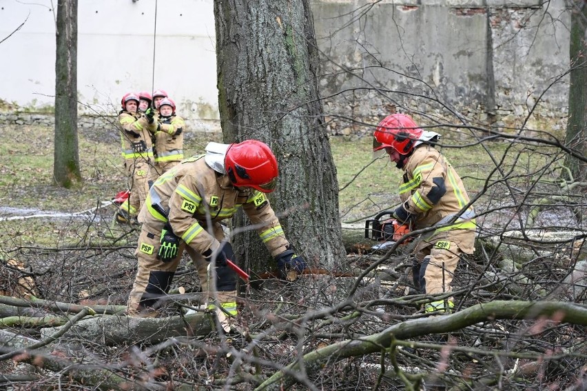 Orkan wyrwał i połamał drzewa w parkach i przy drogach w Kielcach. Straż pożarna wycina je już drugi dzień. Zobaczcie zdjęcia i film