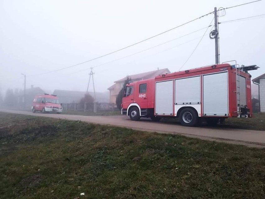 Poszukiwania kobiety w gminie Baćkowice. W akcji ponad setka policjantów i strażaków. Zobacz zdjęcia
