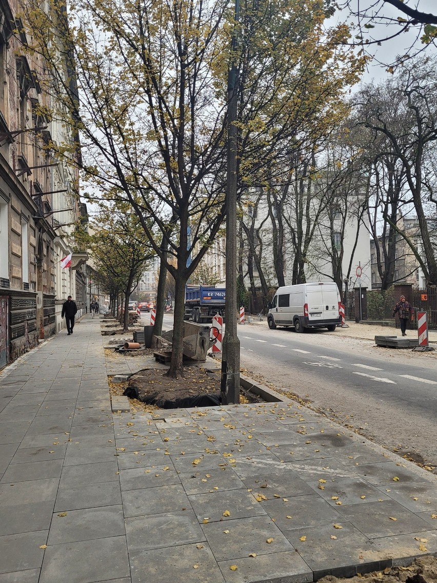 Drzewa się rozrosły, więc trzeba było przebudować ulicę Łobzowską w Krakowie