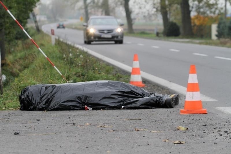 Czarne worki na drodze Wrocław - Strzelin. Przestraszyły kierowców? (ZDJĘCIA)