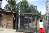 Zagraniczni turyści okradli Muzeum Auschwitz-Birkenau