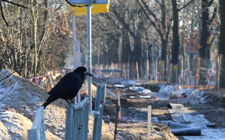 Opóźniony remont torowiska na Biskupin. Plac budowy 20...