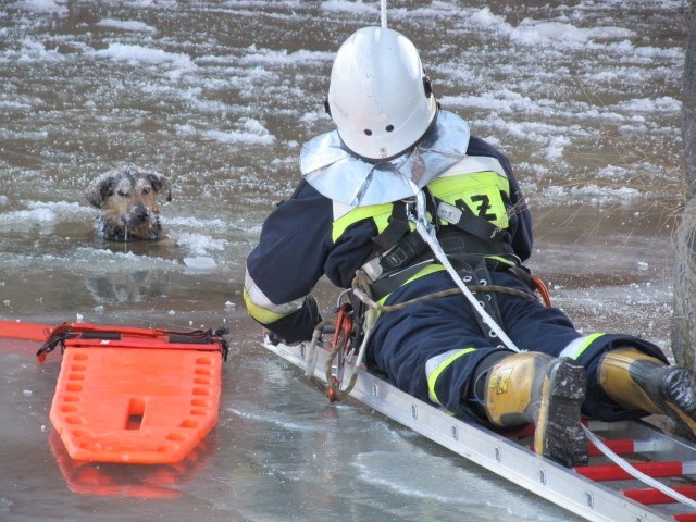 Około godziny 12 w rzecze przy ulicy Nabrzeżnej w Karlinie pod psem załamał się lód. Na miejsce przyjechali strażacy z OSP Karlino i PSP Białogard.