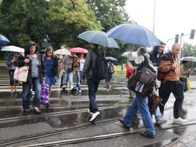 Na tym przejściu w ostatnich dwóch latach były aż 4 wypadki z udziałem pieszych.