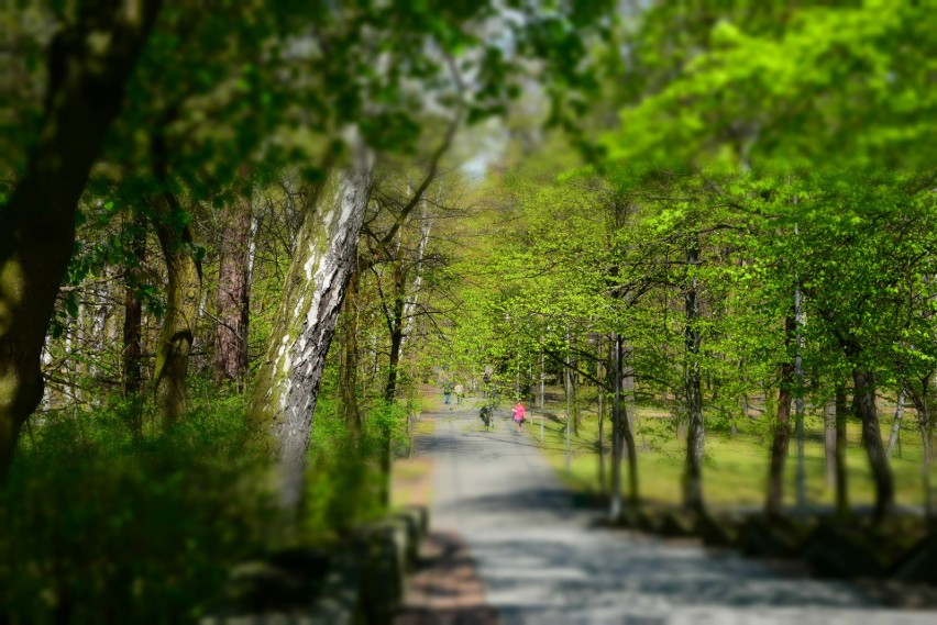 Park Kościuszki w Katowicach