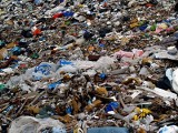 W Wyszkowie powstanie zakład segregacji i utylizacji odpadów? - burmistrz tego nie wyklucza