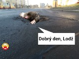 MEMY o dziurach w łódzkich drogach. Internauci mają dość dziurawych ulic w Łodzi ZDJĘCIA