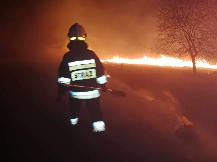 Pożar traw w Rącznej w gminie Liszki