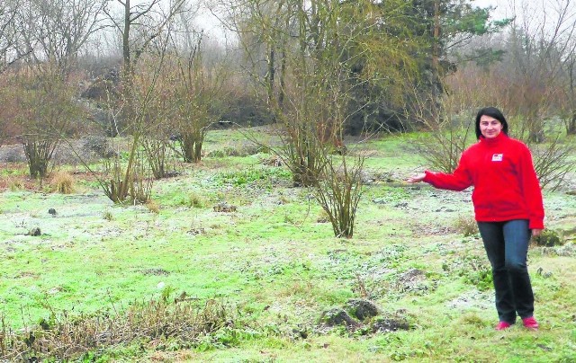 Na tej działce powstanie Park Edukacyjny - Akademia Bajki - wskazuje dyrektor Karolina Kępczyk.