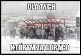 MEMY o śnieżycy w Polsce. Najlepsze śmieszne obrazki o ataku zimy. Śnieg pada i nas zasypuje, a internauci się śmieją  