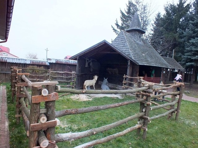 W żywej szopce, w Kałkowie, za tym ogrodzeniem, wystąpią zwierzęta z mini ZOO, istniejącego przy sanktuarium Bolesnej Królowej Polski