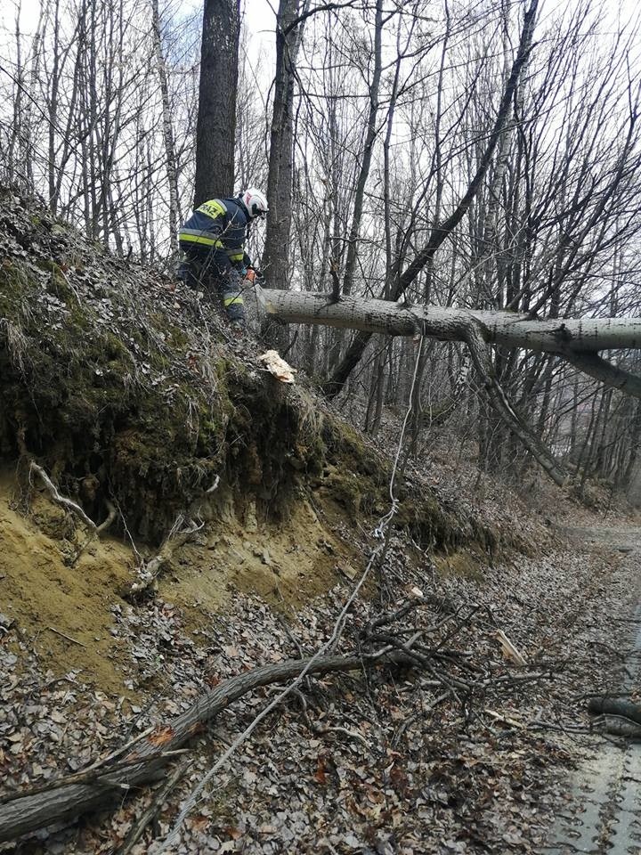 Stary Sącz ul. Parkowa