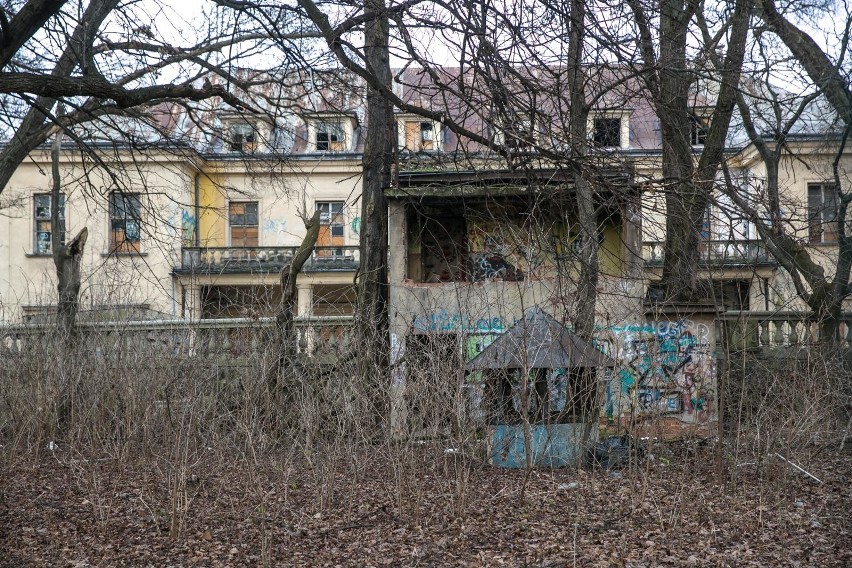 Park Jalu Kurka od lat jest zamknięty. W grudniu pojawił się...