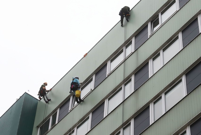 WOŚP 2023 w Radomiu. Widowiskowa akcja alpinistów w szpitalu na Józefowie. Przebierańcy na linach umyli okna na oddziale dziecięcym Zdjęcia