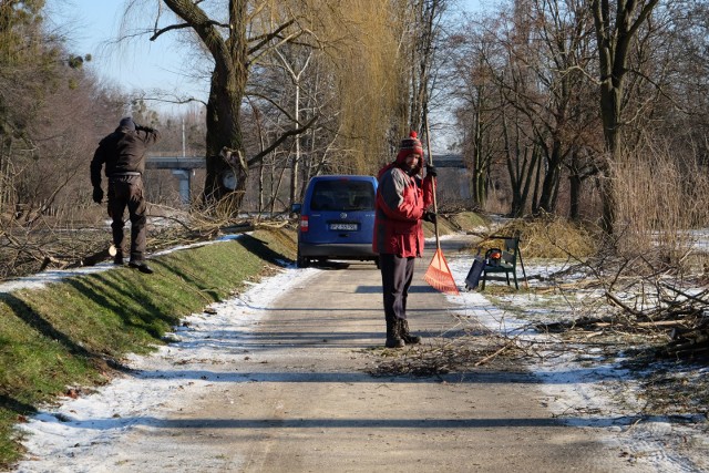 W styczniu 2016 roku Zarząd Zieleni Miejskiej zarządził prace pielęgnacyjne w parku Wodziczki. Pisaliśmy o tym na stronach "Głosu". W tym czasie z parku zniknęło ponad 200 drzew