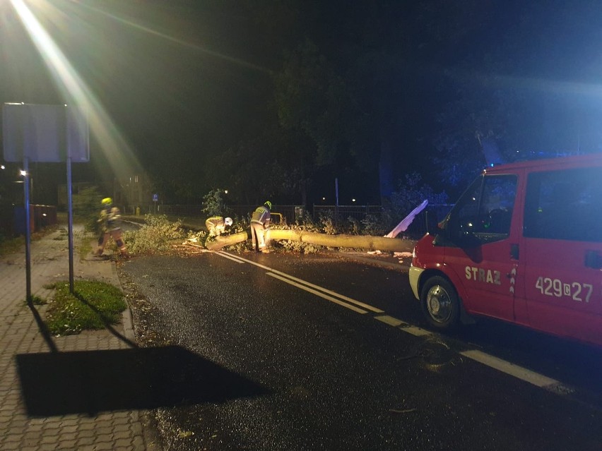 Interwencja OSP Unisław - przewrócone drzewo blokowało drogę