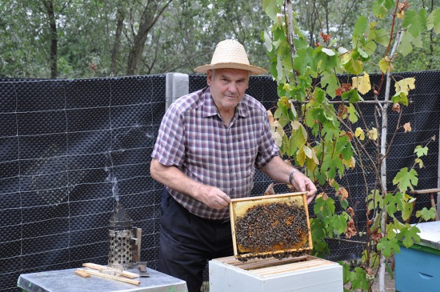 – Jeśli wyginą pszczoły, wyginą także ludzie - mówi pan Józef