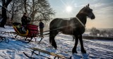 Pogoda w Bydgoszczy. Będzie padać deszcz i śnieg. Temperatura znacznie się obniży