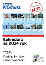 "Tatry, kozice, świstaki i inne zwierzaki" - zbieraj karty kalendarza z "Krakowską"