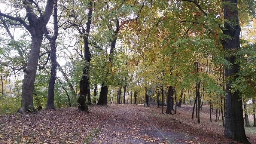 Jesienią w Parku Dietla jest przepięknie. Remont glorietty...