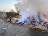 Pożar trocin w Hureczku. Wyjechali strażacy z PSP Przemyśl i OSP Medyka [ZDJĘCIA]