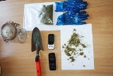 26-letni mężczyzna zakopał marihuanę w lesie