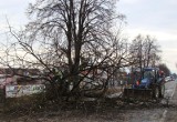 Trwa wycinka drzew wzdłuż tras wojewódzkich 948 i 949 w powiecie oświęcimskim