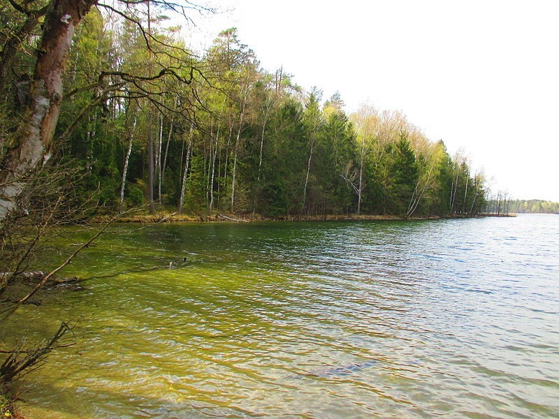 Jezioro Długie Augustowskie...
