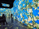 Wystawa „Van Gogh ­– zanurz się w świecie obrazów” kończy się 3 lipca. Można ją zobaczyć przy hali Stulecia [CENY, CZAS OTWARCIA]