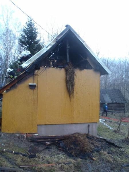 Dom zniszczony przez ogień i wodę. Właścicielka w szpitalu [ZDJĘCIA]