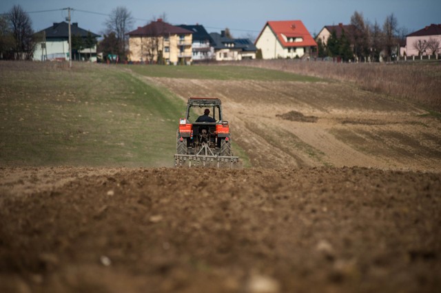 Zaliczki dopłat bezpośrednich muszą wpłynąć na konta rolników do końca listopada