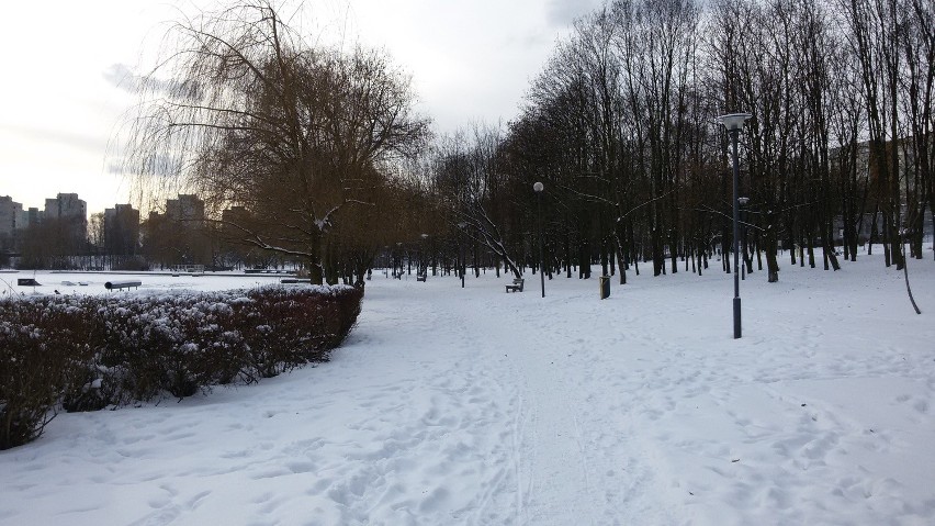 Świętochłowice: Zima zawitała nad staw Skałka [ZDJĘCIA]