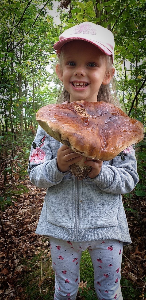 Amelka - okolice Nowego nad Wisłą