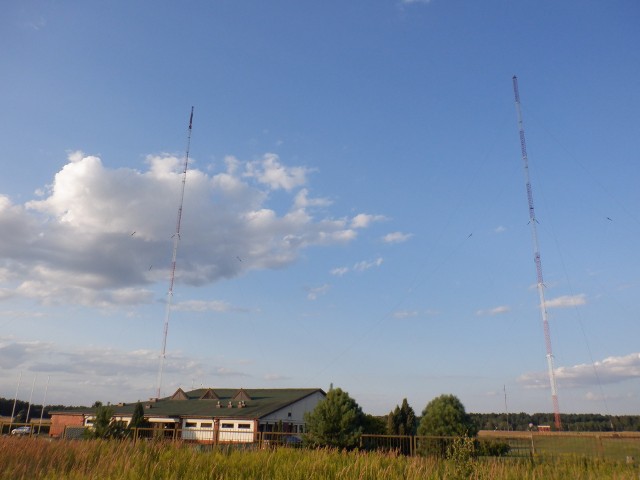 Maszty radiowe w Kabacie pośrodku Puszczy Bydgoskiej robią wrażenie