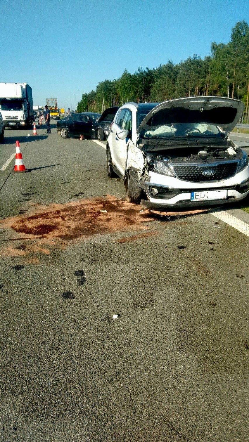 Wypadek na S8 koło Tomaszowa Mazowieckiego. Zderzenie dwóch samochodów. Jedna osoba ranna [ZDJĘCIA]