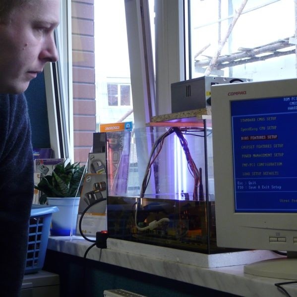 Płyta główna komputera trafiła do... akwarium. Dwaj pracownicy sklepu ze sprzętem elektronicznym z Grajewa wpadli na pomysł po obejrzeniu filmu na You Tube.