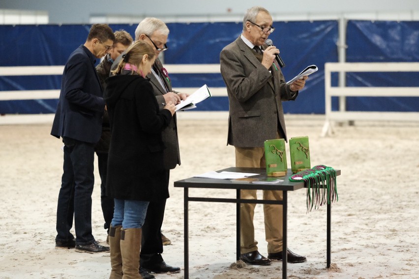 Cavaliada 2017 - zobacz najpiękniejsze konie ras szlachetnych [ZDJĘCIA]