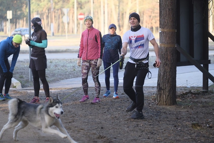 Parkrun Toruń - dzisiaj pobiegli pięć kilometrów w pięknym słońcu