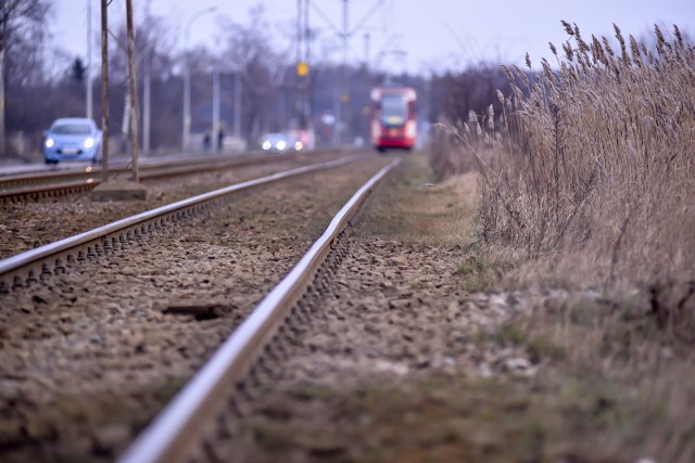 Tory tramwajowe na Stogach. Jazda tramwajem po dzielnicy od lat jest koszmarem