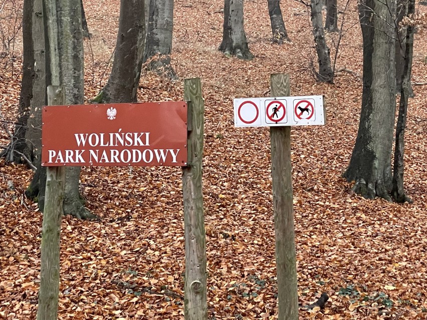 Woliński Park Narodowy chce płatnych nadmorskich plaż