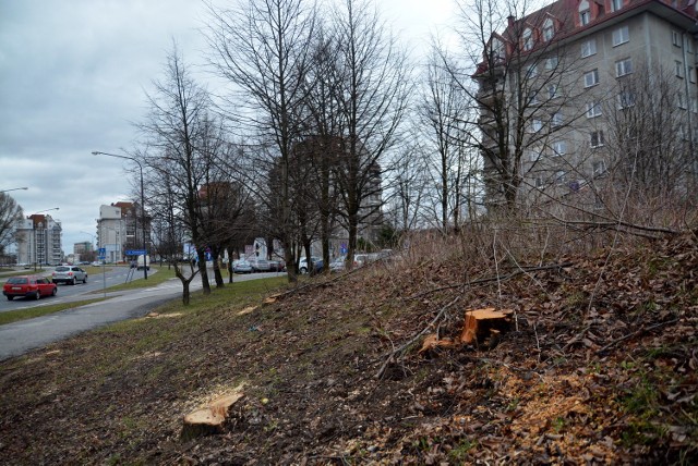 - Te drzewa to był nasz naturalny ekran akustyczny - mówi radny dzielnicy Andrzej Filipowicz