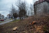 Al. Kompozytorów Polskich: Ratusz dał zgodę na usunięcie 37 drzew, część już poszła pod topór