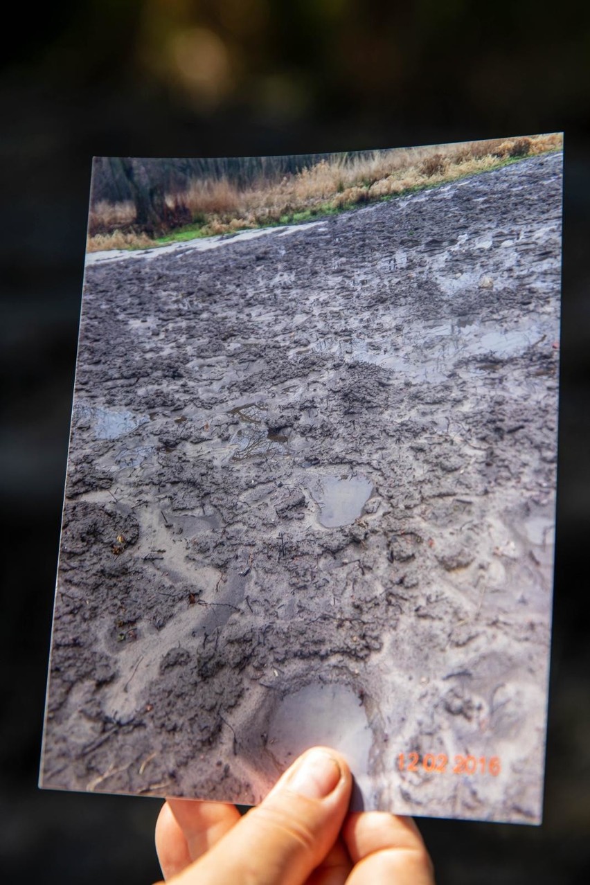 Anna Mazurkiewicz zrobiła zdjęcia podmokłego terenu obok jej...