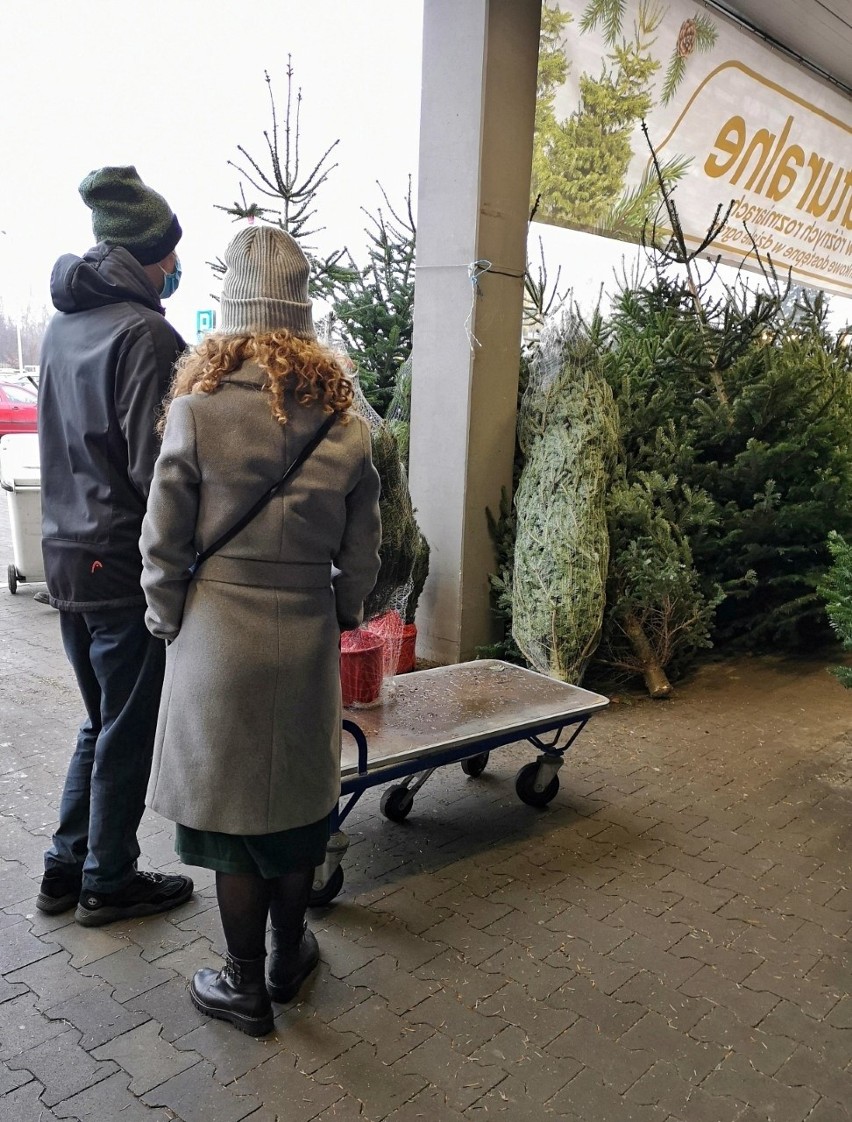 Kraków. Wielkie zakupy w Ikei i Castoramie przed świętami. Krakowianie kupują meble, drewniane podłogi i choinki [12.12.2020]