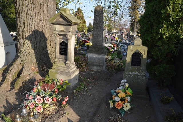 Z lewej pień „Dębu Powstańców” przy mogile powstańców styczniowych na cmentarzu na osiedlu Rozwadów