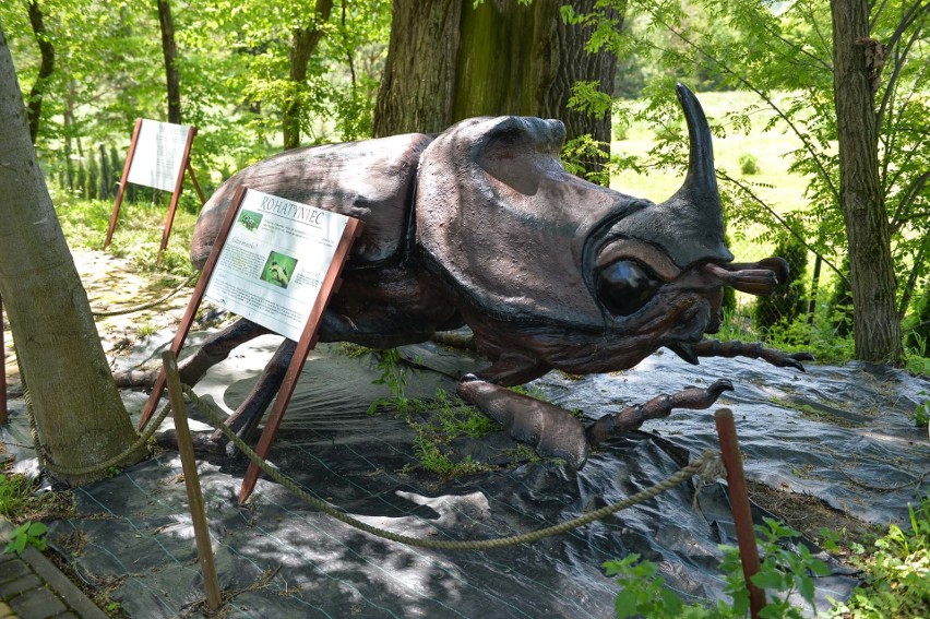 W Dworze Wapowce pod Przemyślem funkcjonuje park...