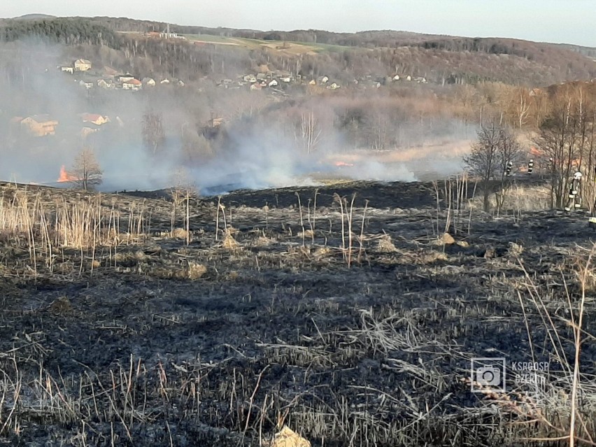 Plaga pożarów traw. Strażacy z podkrakowskich gmin codziennie gaszą hektary traw i nieużytków
