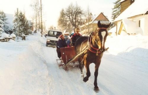 Śnieżne niespodzianki