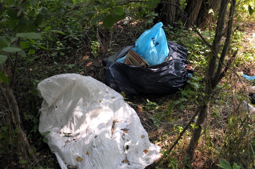 Śmieci w lasach pod Lublinem:  Niewiele się zmieniło po wprowadzeniu ustawy śmieciowej (FOTO)