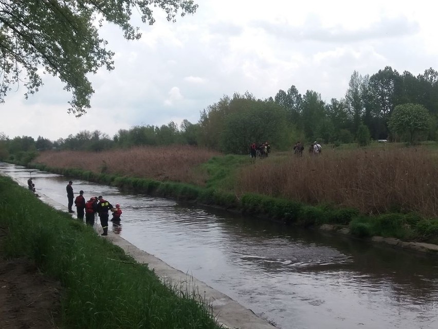 Nad Brynicą we wtorek, 16 maja, trwały poszukiwania...